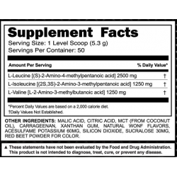 PHP  BCAA Spiked XDM 700 gram